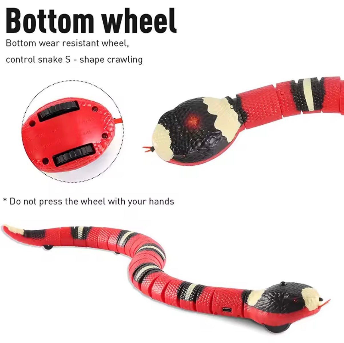 Smart Rattlesnake