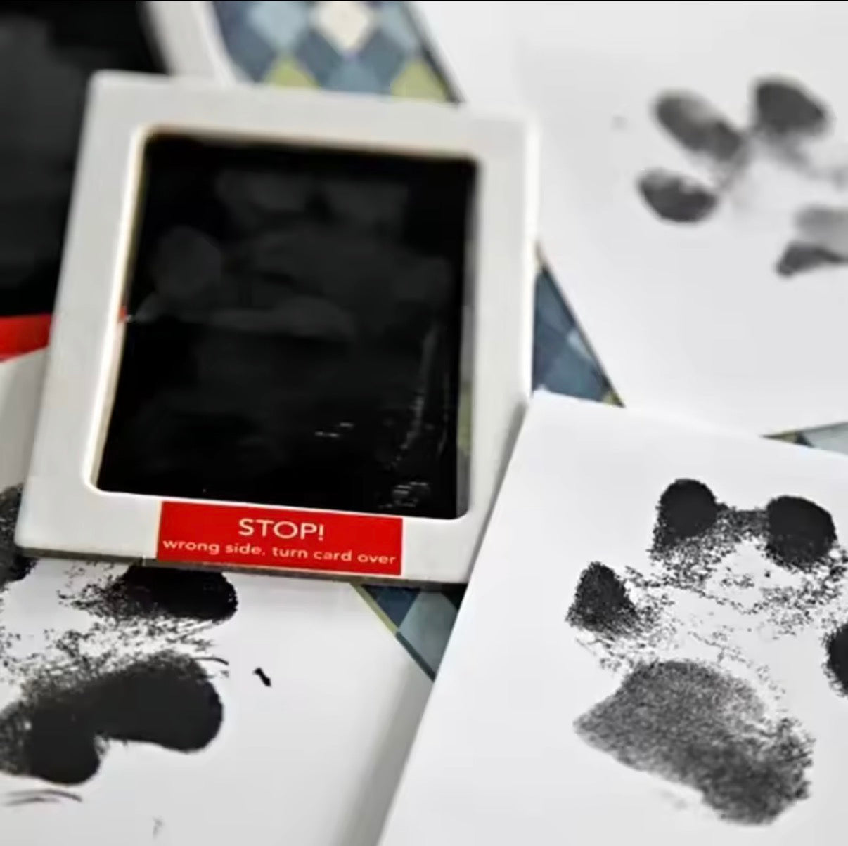 PawPrint
