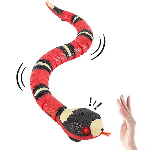 Smart Rattlesnake