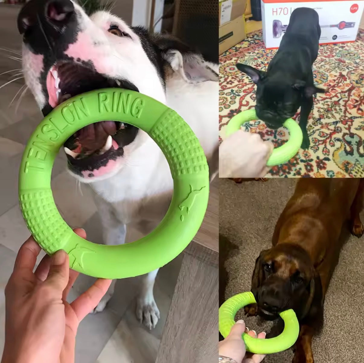 Rubber Ring