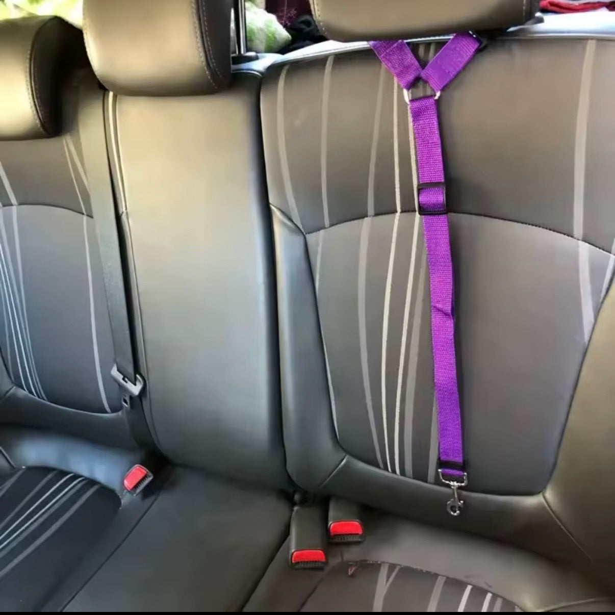Dog Safety Belt