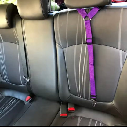 Dog Safety Belt