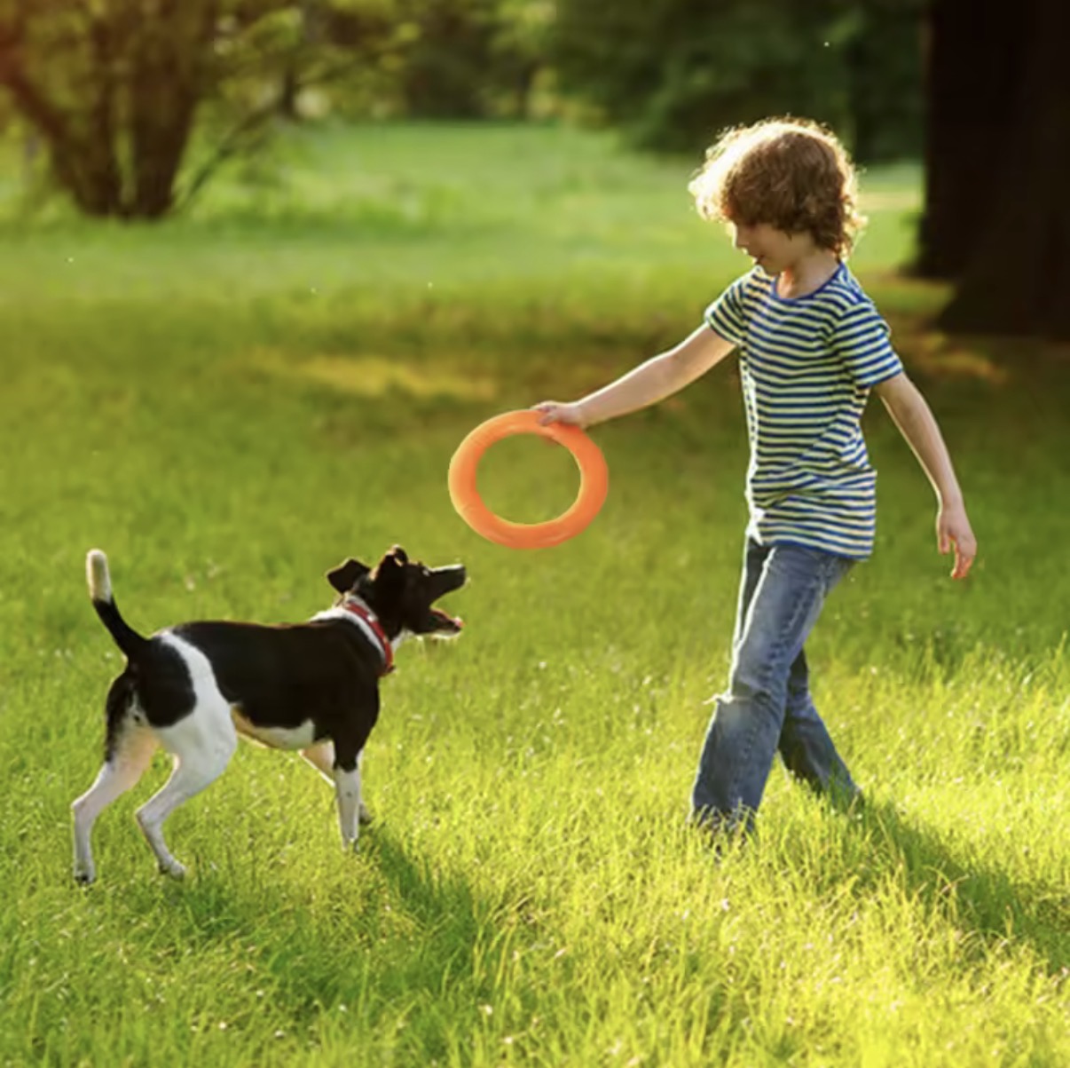 Rubber Ring