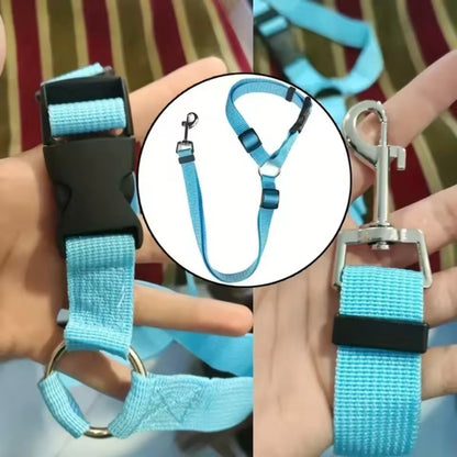 Dog Safety Belt