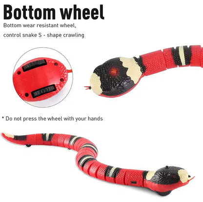 Smart Rattlesnake