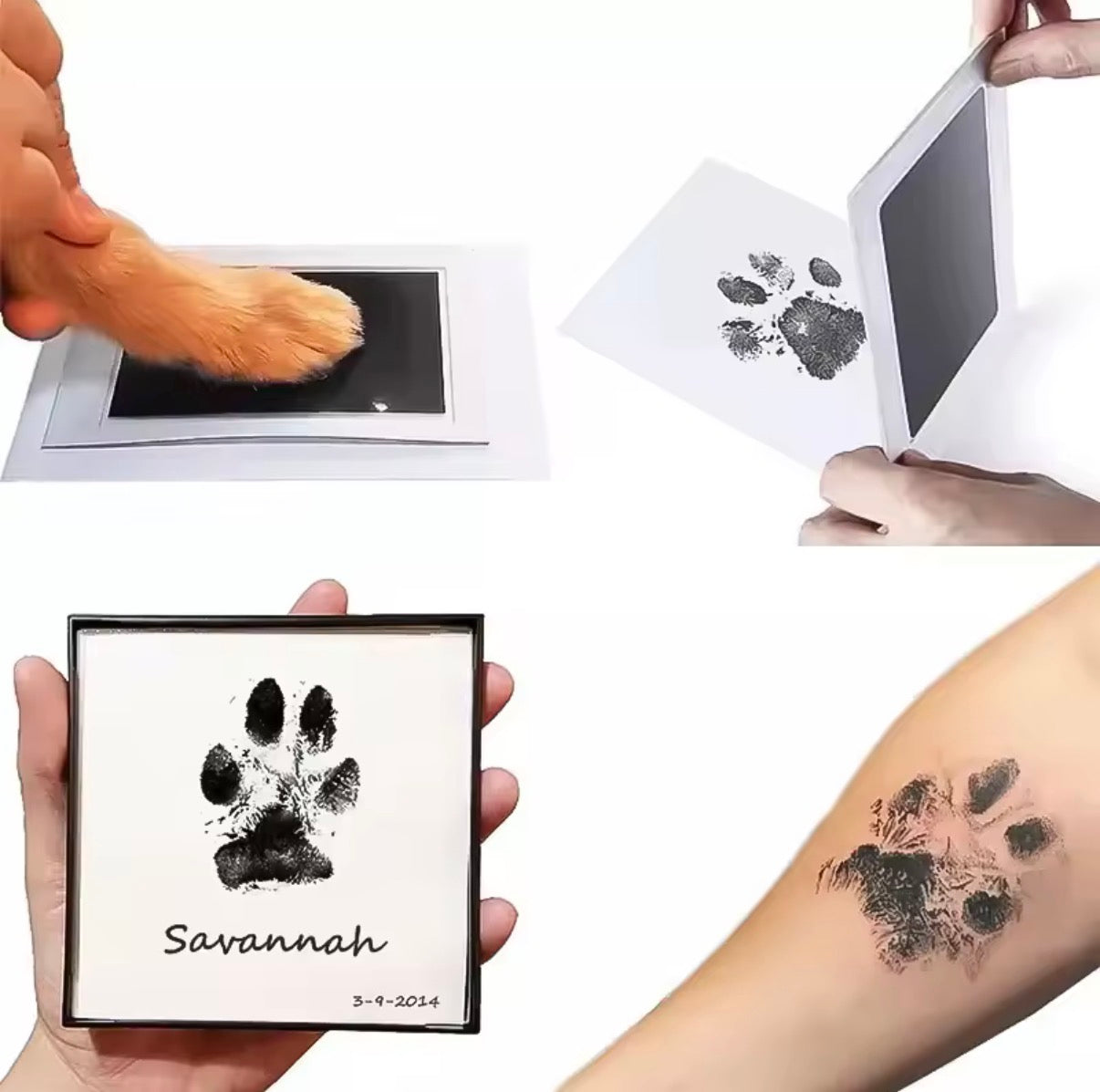 PawPrint